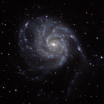 M101