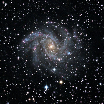 NGC6946