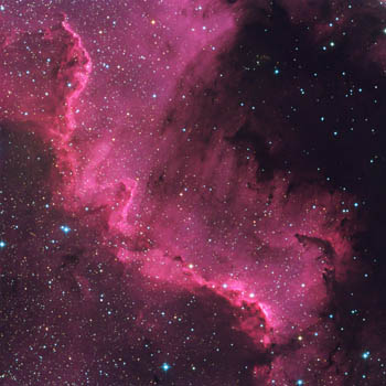 NGC7000