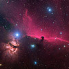 Horsehead