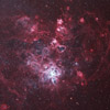 Tarantula Nebula